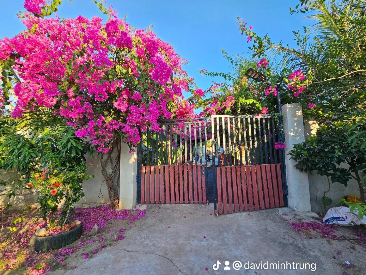Homestay Sen & Zen Villa Vung Tau Luaran gambar