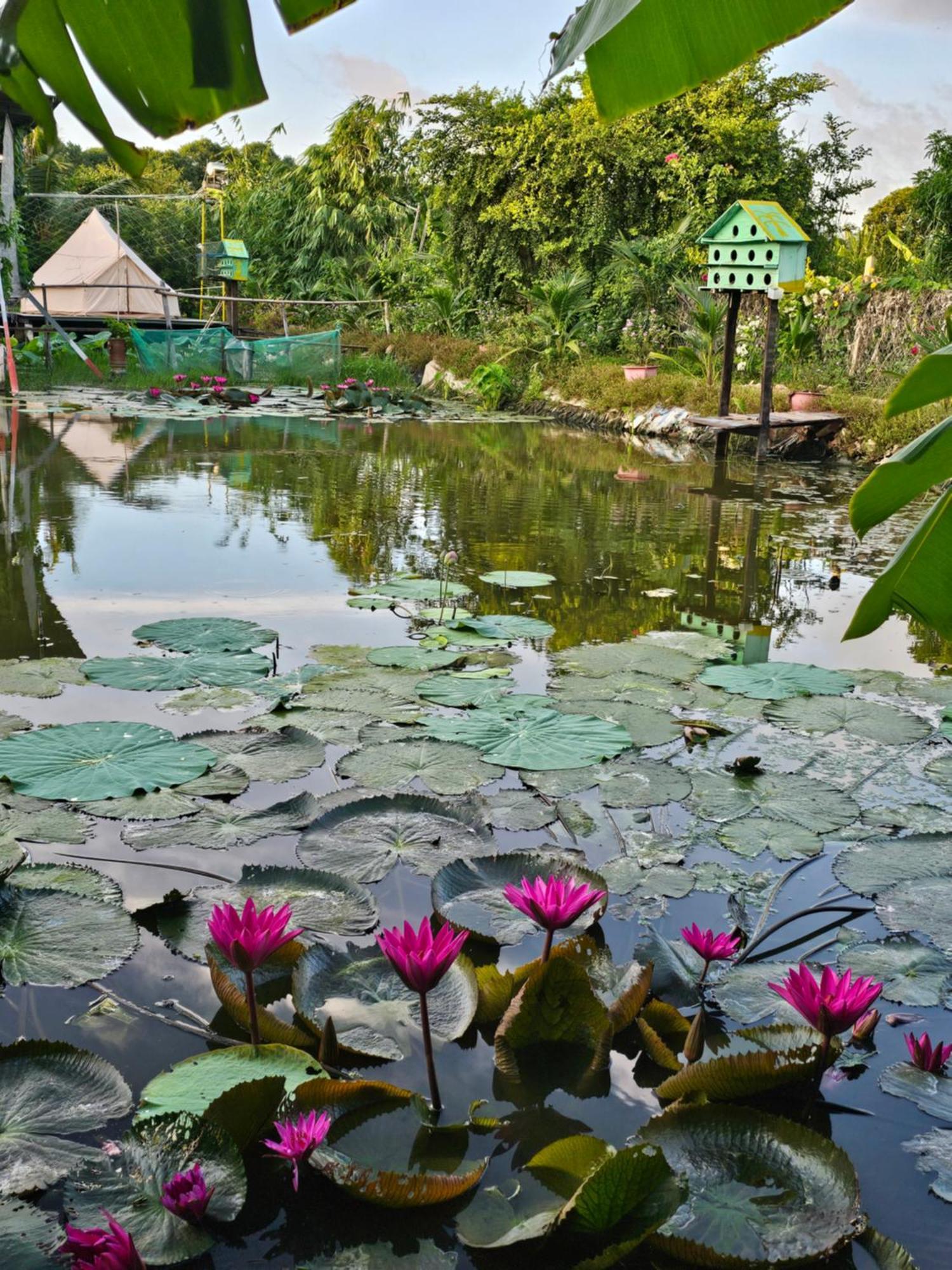 Homestay Sen & Zen Villa Vung Tau Luaran gambar