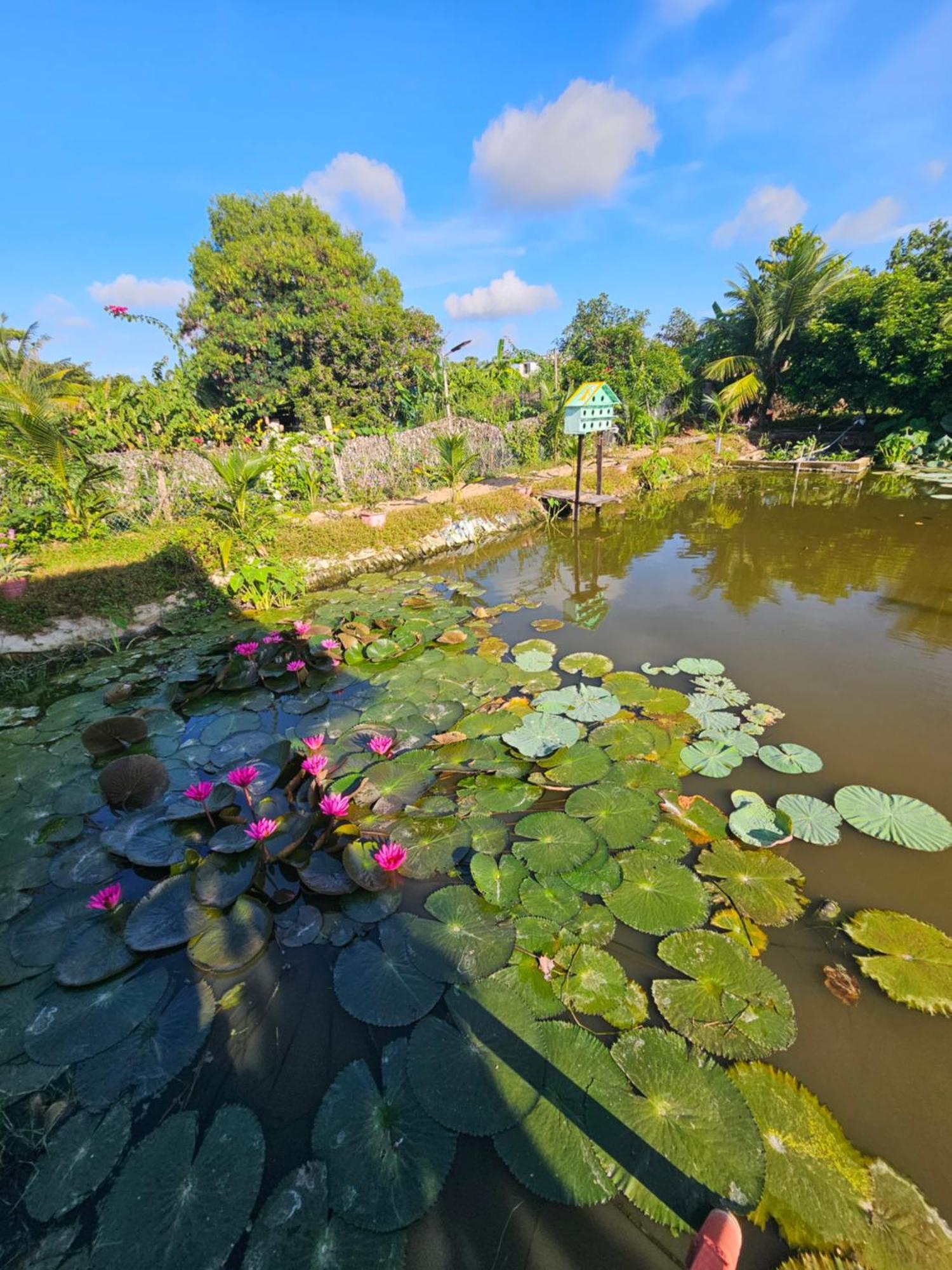 Homestay Sen & Zen Villa Vung Tau Luaran gambar
