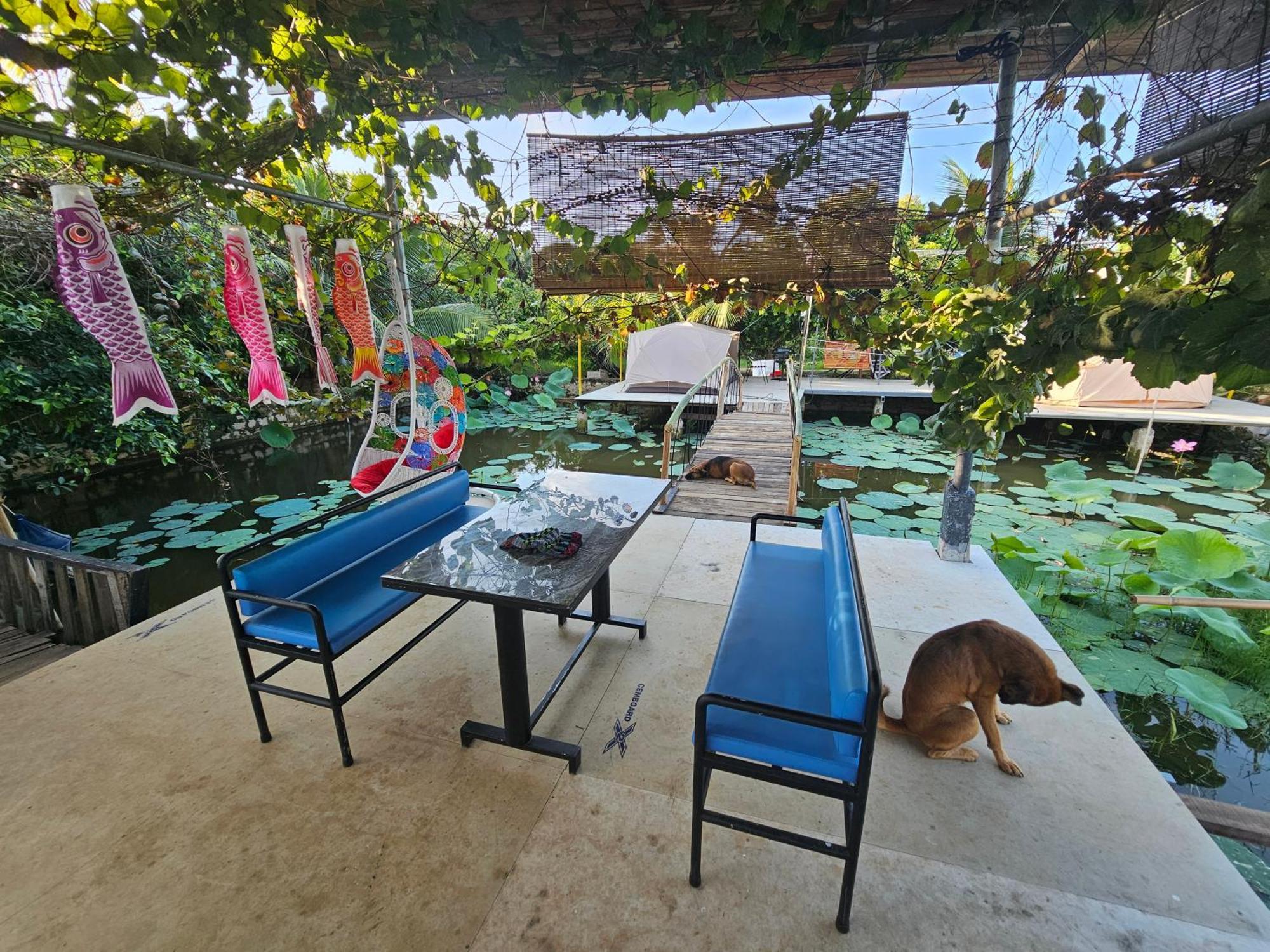 Homestay Sen & Zen Villa Vung Tau Luaran gambar