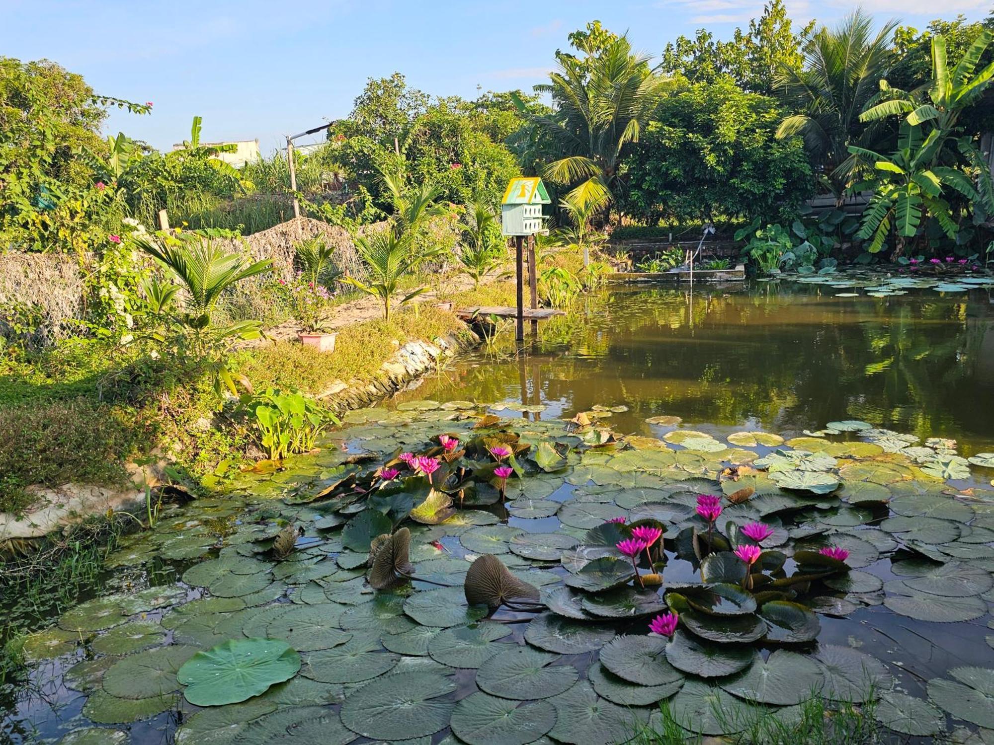 Homestay Sen & Zen Villa Vung Tau Luaran gambar