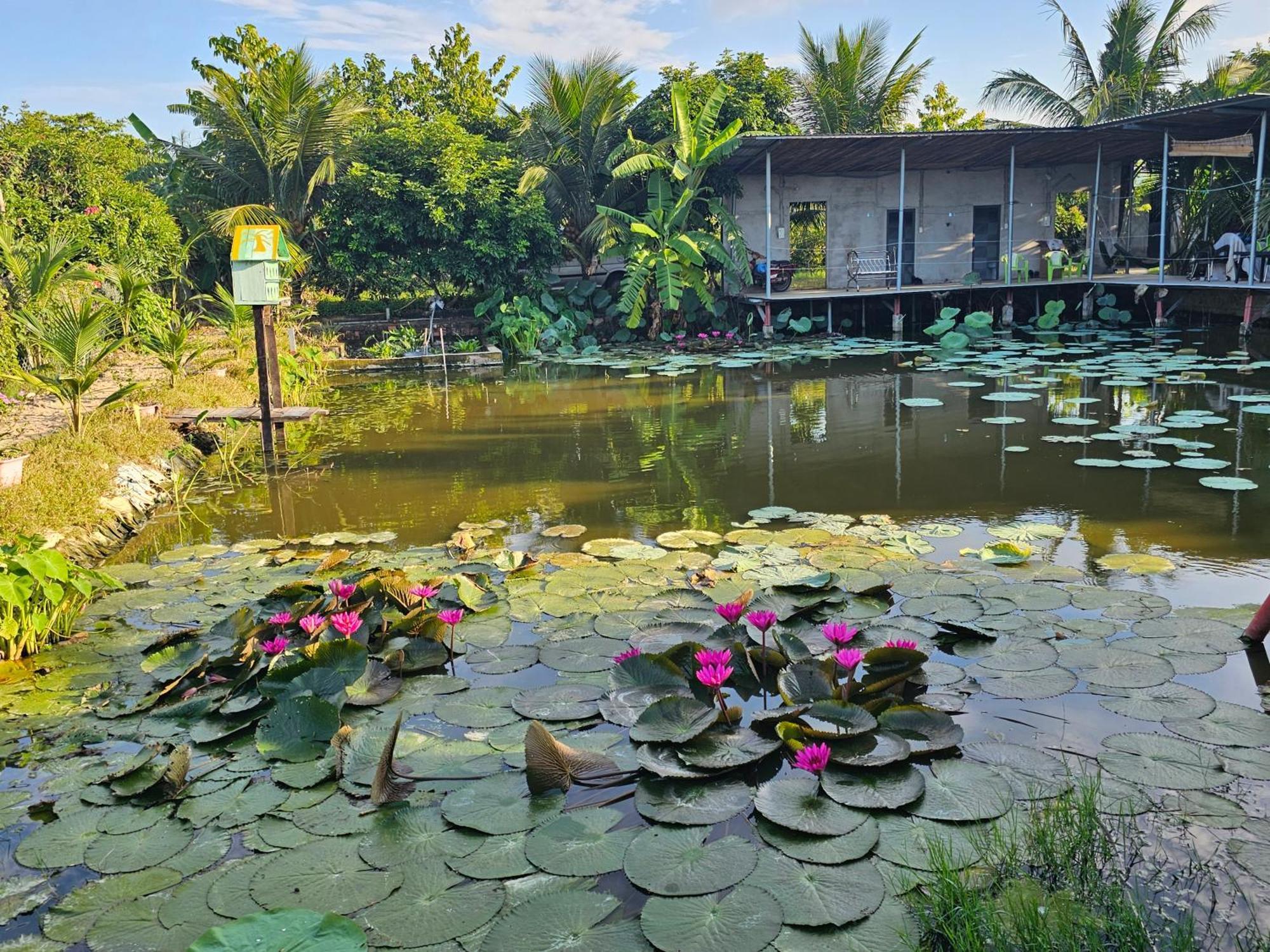Homestay Sen & Zen Villa Vung Tau Luaran gambar