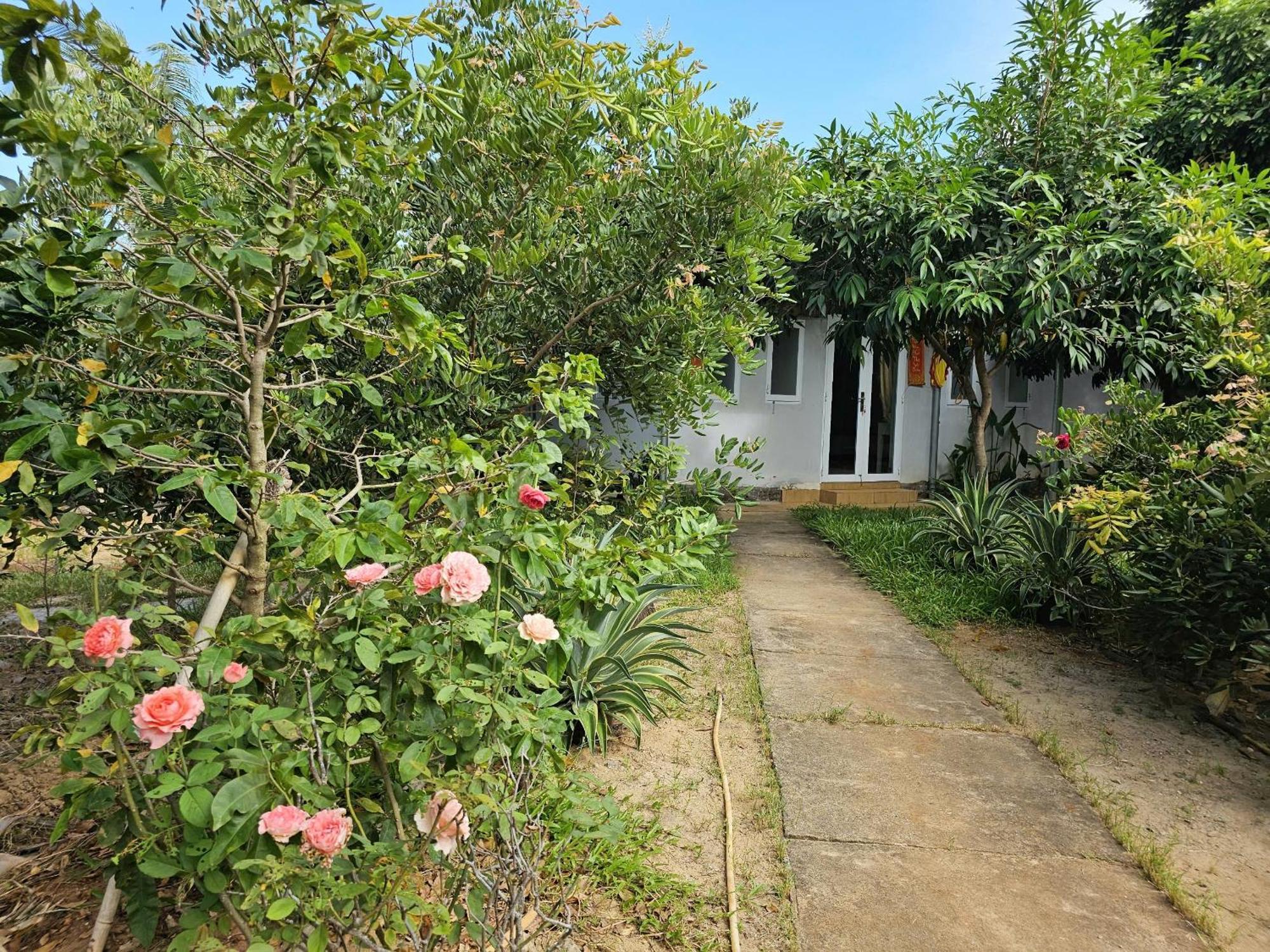 Homestay Sen & Zen Villa Vung Tau Luaran gambar