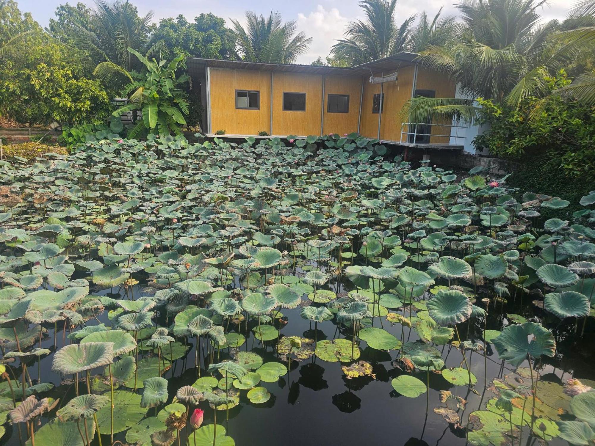 Homestay Sen & Zen Villa Vung Tau Luaran gambar